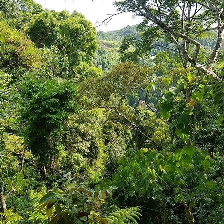On The Rocks Bungalows, Restaurant And Jungle Trekking Tours Bukit Lawang Exterior foto