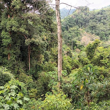 On The Rocks Bungalows, Restaurant And Jungle Trekking Tours Bukit Lawang Exterior foto