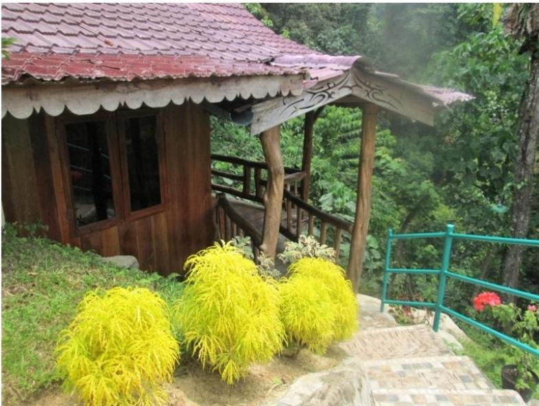 On The Rocks Bungalows, Restaurant And Jungle Trekking Tours Bukit Lawang Exterior foto