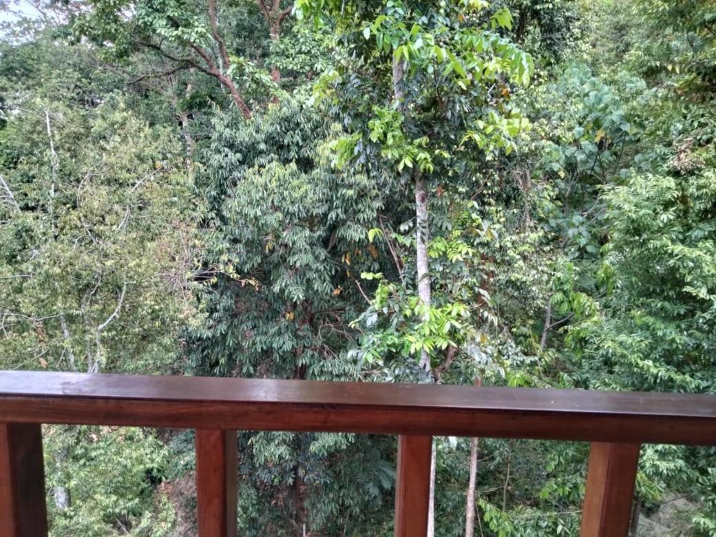 On The Rocks Bungalows, Restaurant And Jungle Trekking Tours Bukit Lawang Exterior foto