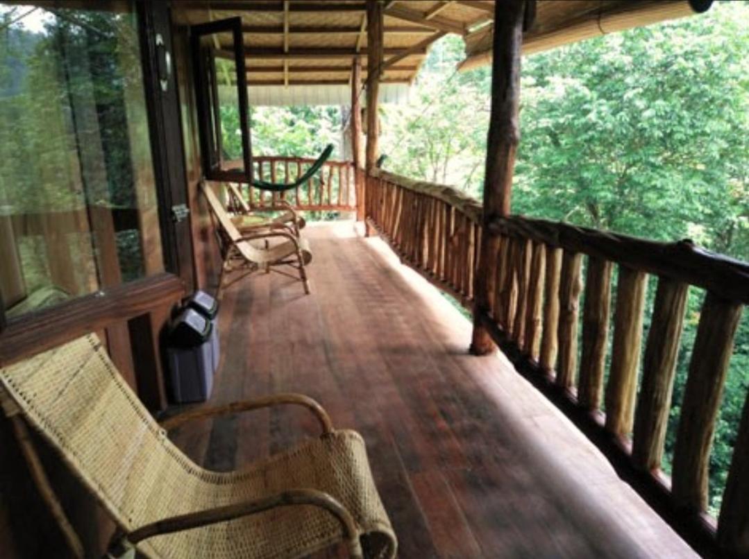 On The Rocks Bungalows, Restaurant And Jungle Trekking Tours Bukit Lawang Exterior foto