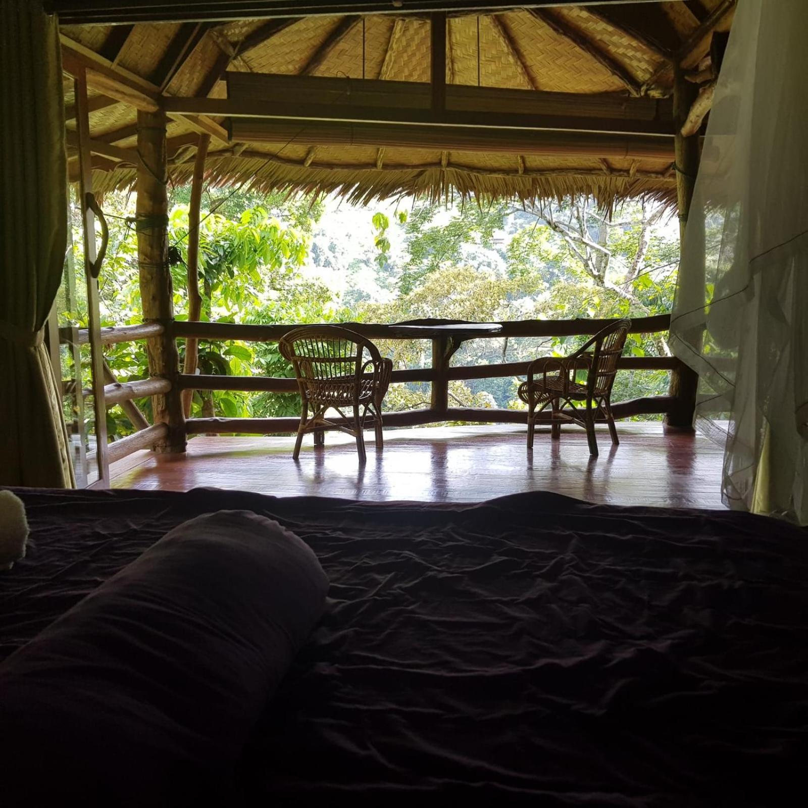 On The Rocks Bungalows, Restaurant And Jungle Trekking Tours Bukit Lawang Exterior foto