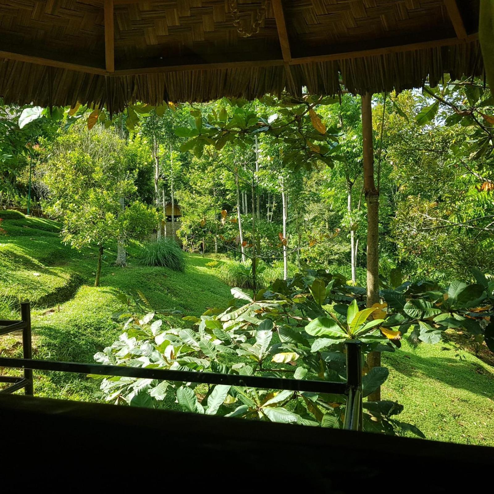 On The Rocks Bungalows, Restaurant And Jungle Trekking Tours Bukit Lawang Exterior foto