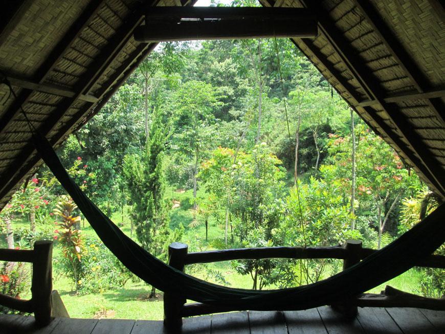 On The Rocks Bungalows, Restaurant And Jungle Trekking Tours Bukit Lawang Exterior foto