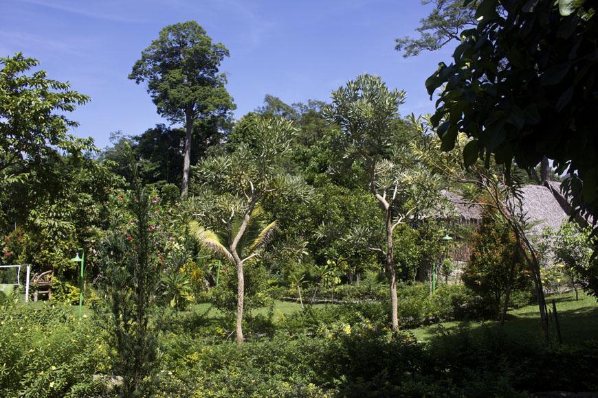 On The Rocks Bungalows, Restaurant And Jungle Trekking Tours Bukit Lawang Exterior foto