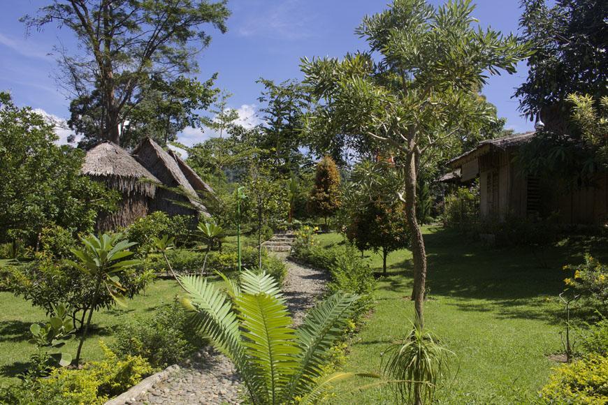 On The Rocks Bungalows, Restaurant And Jungle Trekking Tours Bukit Lawang Exterior foto