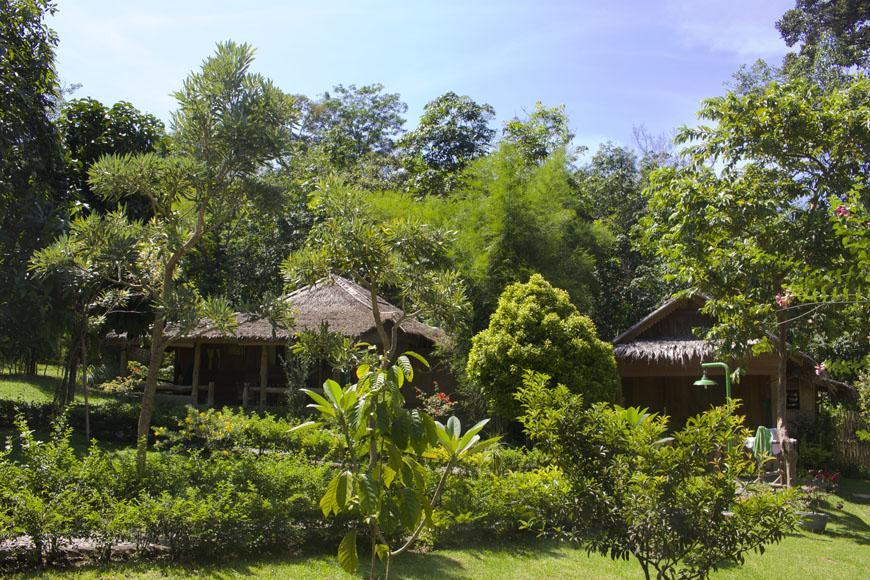 On The Rocks Bungalows, Restaurant And Jungle Trekking Tours Bukit Lawang Exterior foto